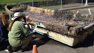 Japanese High School Tsunami Boat Recovered Through Facebook